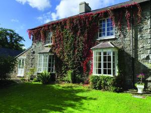 an ivy covered house with a green yard at Pontyclerc Farm House Bed and Breakfast in Ammanford