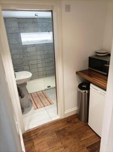 a bathroom with a shower and a toilet and a sink at Mezzanine style studio apartment 8 in London