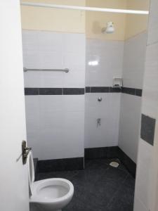 a bathroom with a toilet and a shower at Nash Issah Homes-1BedRoom in Nakuru