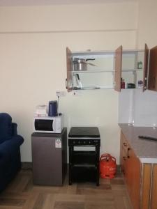 Kuchyň nebo kuchyňský kout v ubytování Nash Issah Homes-1BedRoom