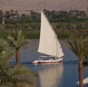 a sail boat on the water with palm trees at Karnak Flats in Luxor