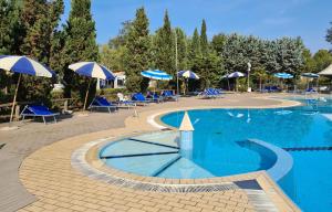 una grande piscina con ombrelloni e sedie blu di Country Camp Campeggio Paradiso a Viareggio