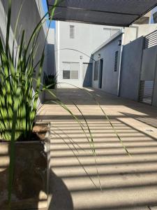 a plant in a pot sitting next to a building at Caseros 139 in General Alvear