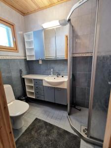 a bathroom with a sink and a shower and a toilet at Kärpänpesä B in Syöte