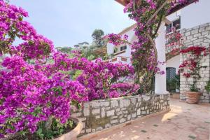 un jardín con flores púrpuras frente a un edificio en Estate4home - Villa San Montano, en Massa Lubrense