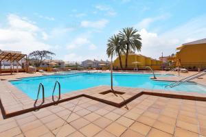 une grande piscine avec des palmiers en arrière-plan dans l'établissement Moderno Triplex Sonneland, à Maspalomas