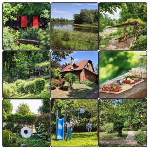 a collage of pictures of houses andyards at Rajski vrt - Lake house - Paradise garden in Sisak