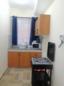 Kuchyň nebo kuchyňský kout v ubytování CBD Nakuru luxurious Studio-Nash
