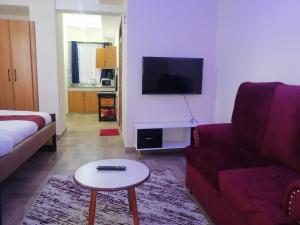 TV a/nebo společenská místnost v ubytování CBD Nakuru luxurious Studio-Nash