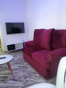 TV a/nebo společenská místnost v ubytování CBD Nakuru luxurious Studio-Nash