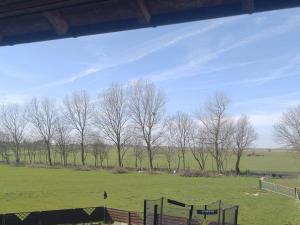 a field with a fence and trees in the background at Erholung auf der Deichschäferei mit Deichblick in Wangerland