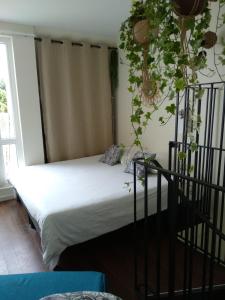 Postel nebo postele na pokoji v ubytování Charmant logement vue mer avec chambre et terrasse