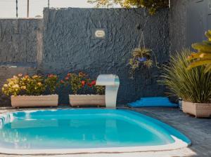 a swimming pool in a yard with potted plants at Hotel e Pousada Caroline in Foz do Iguaçu