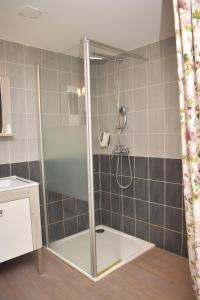 a shower with a glass door in a bathroom at Auberge Saint Fergeux in Gionges +68 photos