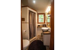 博卡斯德爾托羅的住宿－PirateArts Experience Resort，一间带卫生间和水槽的小浴室
