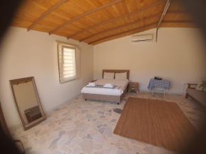 達特恰的住宿－Artolive Datca，一间卧室配有一张床和镜子