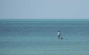 a woman standing on a paddle board in the ocean at Camping Les Perouses in Saint-Clément-des-Baleines