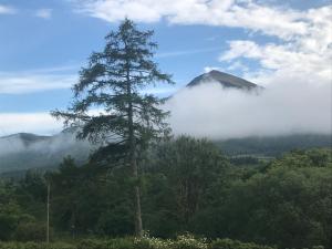 un árbol en primer plano con una montaña en el fondo en Snowdonia Holiday Lodges, en Beddgelert