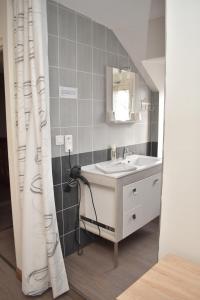 a bathroom with a sink and a mirror at Auberge Saint Fergeux in Gionges