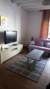a living room with a couch and a tv at La Maison de Chouquette in Limoux