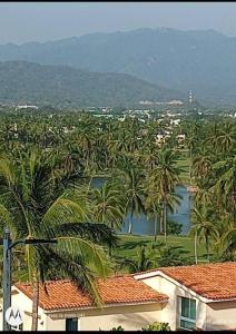 a group of palm trees and a body of water at Villa del Palmar departemento in Manzanillo
