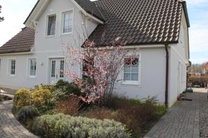 a white house with a flowering tree in front of it at Appartement Louise in Wustrow