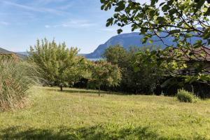 a field with trees and a mountain in the background at La villa panoramique in Sévrier