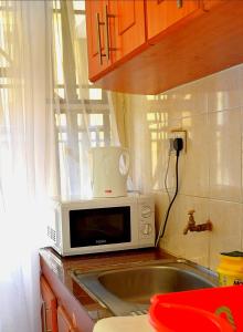 un microondas en la parte superior de una barra de cocina en Elegant 1br Milimani - Fast Wifi en Kisumu
