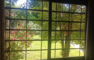 una ventana abierta con vistas a un árbol en Rancho Aparte en Salta