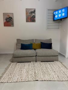eine Couch in einem Wohnzimmer mit einem Teppich in der Unterkunft Nid D amour in Petit-Bourg