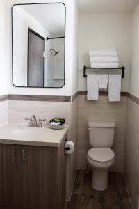 ein Badezimmer mit einem Waschbecken, einem Spiegel und einem WC in der Unterkunft Pine Lodge in Encampment