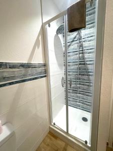 a shower with a glass door in a bathroom at T5 COEUR DE VILLE in Besançon