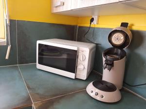 a microwave sitting on a counter next to a blender at VILLA BÖ LANME in Le Carbet
