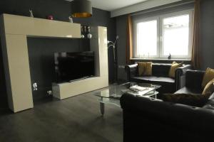 sala de estar con TV, sofá y mesa en Dachterrasse, en Schwandorf