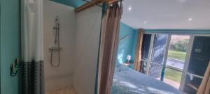 a bedroom with a shower and a bed and a window at Les cabanons de l'Oliveraie in Pernes-les-Fontaines