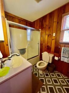 a bathroom with a toilet and a shower and a sink at Home in Newland with River Views in Newland