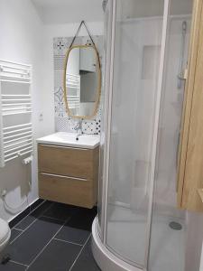 a bathroom with a shower and a sink and a mirror at COSY GARE in Caen
