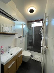 uma casa de banho com um chuveiro, um WC e um lavatório. em Hotel Zum Fährturm em Mehring