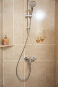 a shower with a shower head in a bathroom at Au Chalet Le Péry, vue sur le Mont de Grange in Abondance