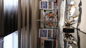 The library in Az apartmant