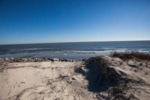 a sandy beach with the ocean in the background at ALWAYS TURTLE CRAWL home in Jekyll Island