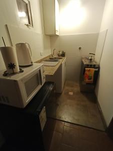 里奧格蘭德的住宿－La Ventura RG，带微波炉和炉灶的小厨房