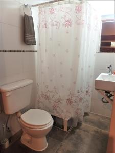 里奧格蘭德的住宿－La Ventura RG，一间带卫生间和淋浴帘的浴室
