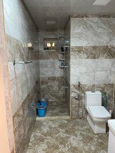 a bathroom with a shower and a toilet at Shamakhi Villa in Shamakhi