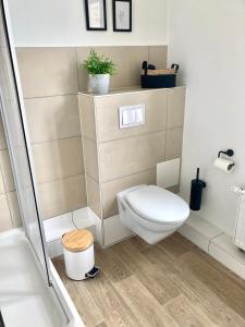 een badkamer met een toilet en een douche bij Apartment Schloss Benrath in Greifswald