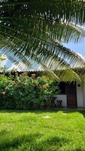 una casa con un patio verde con una palmera en Pousada Yemanjá Cunhaú, en Barra do Cunhau