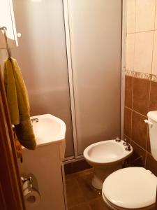 La salle de bains est pourvue de toilettes, d'un lavabo et d'une douche. dans l'établissement Complejo Patagonia Brc, à San Carlos de Bariloche