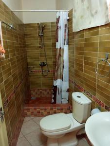 a bathroom with a toilet and a shower at One bedroom appartement at Pereybere Grand Baie 350 m away from the beach with enclosed garden and wifi in Pereybere