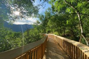 a wooden bridge in the middle of a forest at Casa dos Andrades in Belmonte