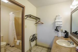 ein Bad mit einem Waschbecken, einem WC und einer Dusche in der Unterkunft Shady Acre Inn and Suites in Branson West